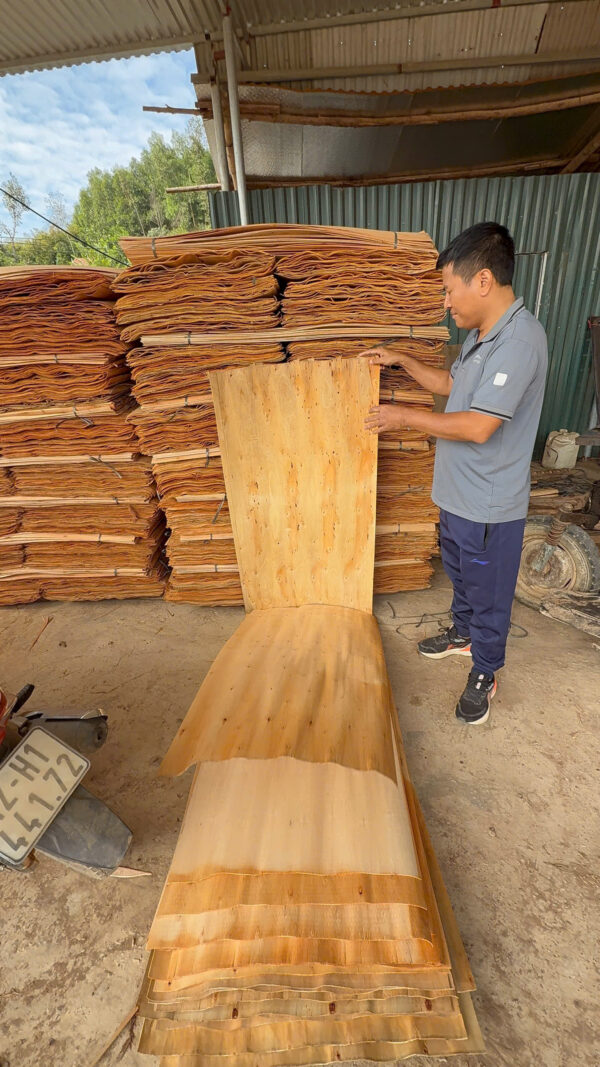 VÁN BÓC GỖ BẠCH ĐÀN – GỖ KEO (CORE VENEER) - Ảnh 2