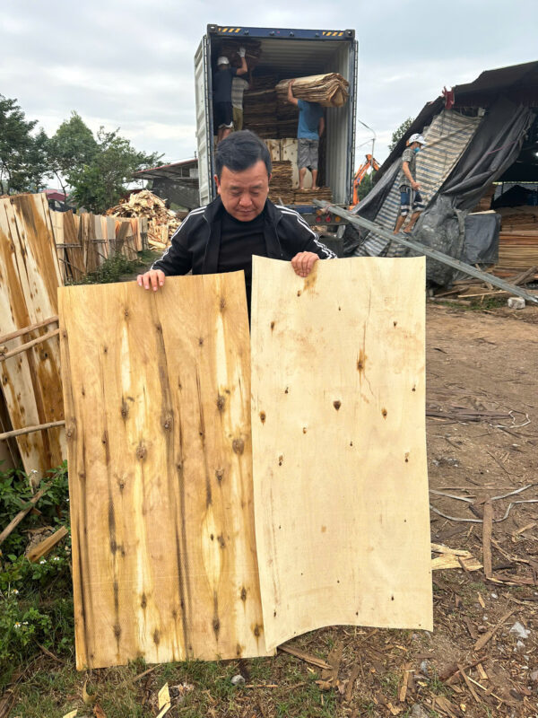 VÁN BÓC GỖ BẠCH ĐÀN – GỖ KEO (CORE VENEER) - Ảnh 7