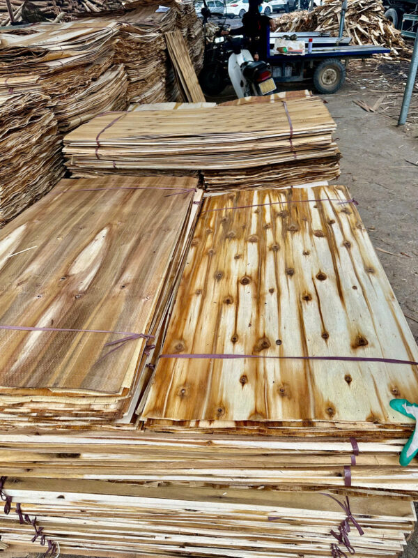 VÁN BÓC GỖ BẠCH ĐÀN – GỖ KEO (CORE VENEER) - Ảnh 14
