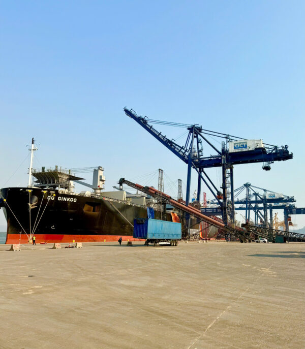 DĂM GỖ KEO VÀ BẠCH ĐÀN - Ảnh 9