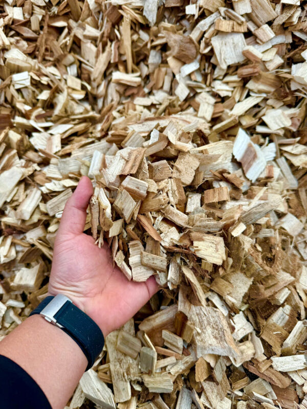 DĂM GỖ KEO VÀ BẠCH ĐÀN - Ảnh 8