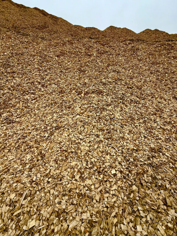 DĂM GỖ KEO VÀ BẠCH ĐÀN - Ảnh 4