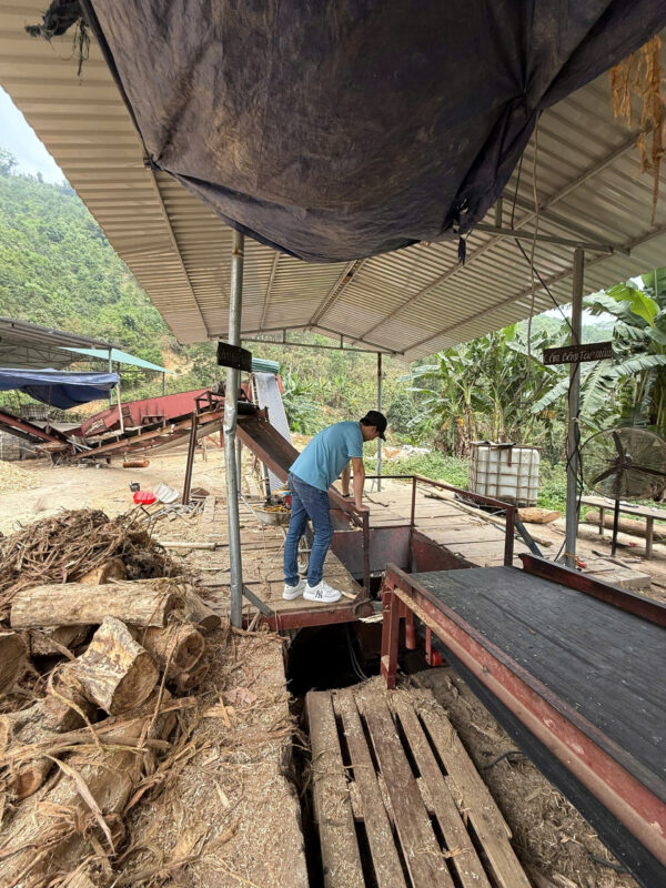 DĂM GỖ KEO VÀ BẠCH ĐÀN - Ảnh 14