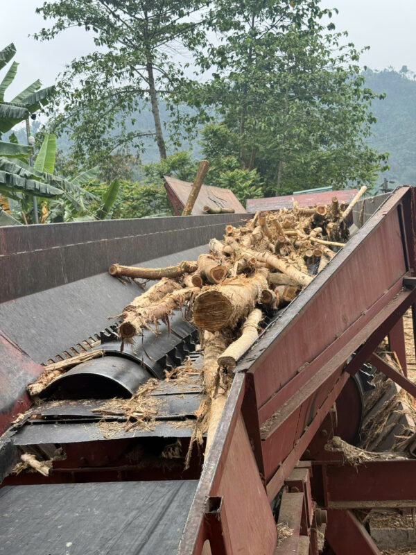 DĂM GỖ KEO VÀ BẠCH ĐÀN - Ảnh 13