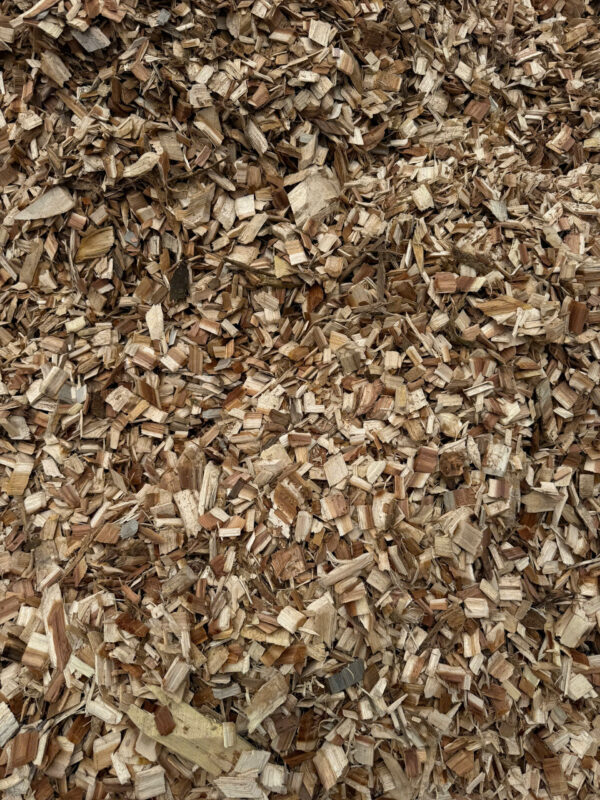 DĂM GỖ KEO VÀ BẠCH ĐÀN - Ảnh 11