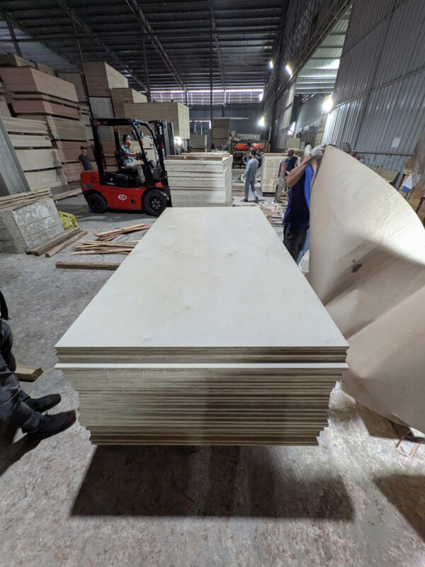 VÁN ÉP – PLYWOOD - Ảnh 4