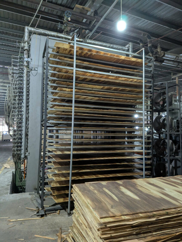 VÁN ÉP – PLYWOOD - Ảnh 9