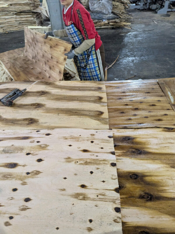VÁN ÉP – PLYWOOD - Ảnh 11