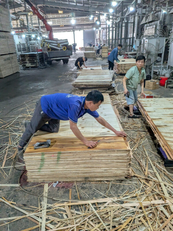 VÁN ÉP – PLYWOOD - Ảnh 2