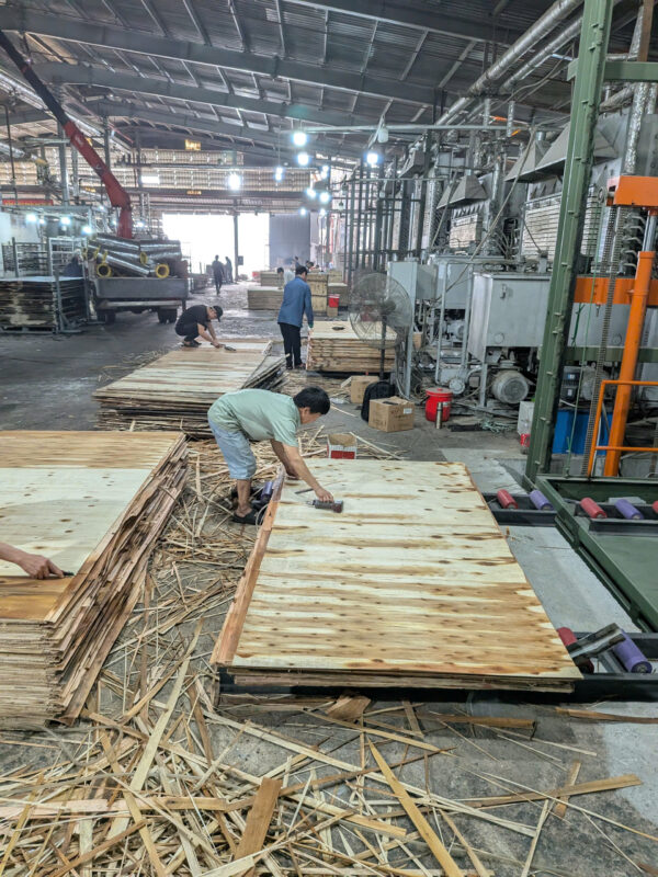 VÁN ÉP – PLYWOOD - Ảnh 3